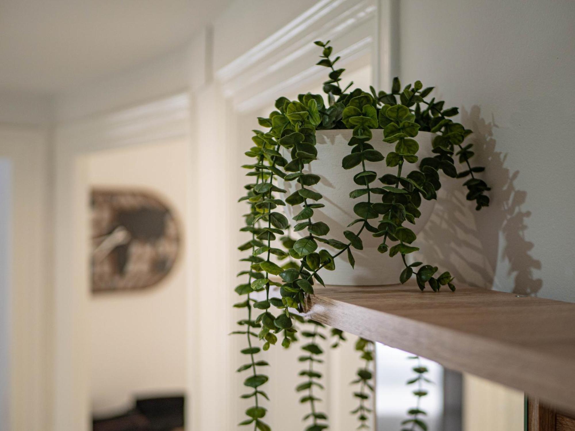 Pet-friendly Apartamento En By Bebalmy Granada